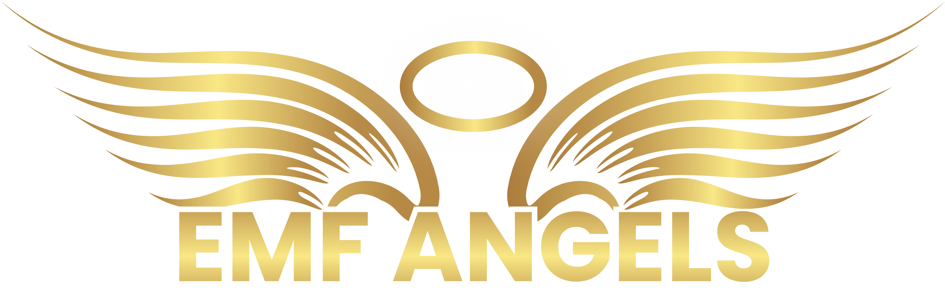 EMF Angels